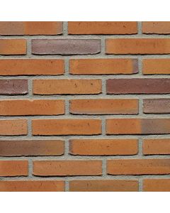 Goudsbloem Wasserstrich Waalformaat - Wienerberger