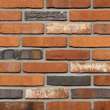 Fortuna Wasserstrich Waalformaat - Wienerberger
