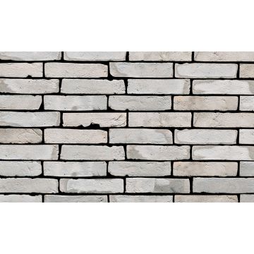 Rainbow Silver Handvorm Waalformaat - Vandersanden