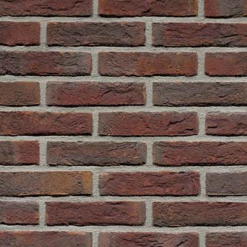 Blauwrood Genuanceerd Handvorm Waalformaat - Wienerberger