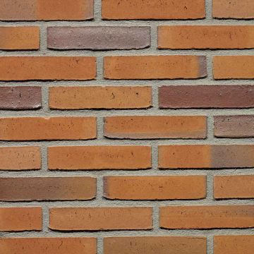 Goudsbloem Wasserstrich Waalformaat - Wienerberger