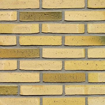 Teunisbloem Wasserstrich Waalformaat - Wienerberger